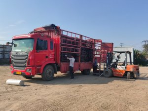 金用護欄2021年4月19日鋅鋼護窗欄桿發(fā)貨！